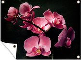 Tuinposter - Tuindoek - Tuinposters buiten - Planten - Orchidee - Bloemen - Roze - 120x90 cm - Tuin