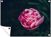 Tuinschilderij Bloemen - Roze - Rozen - 80x60 cm - Tuinposter - Tuindoek - Buitenposter