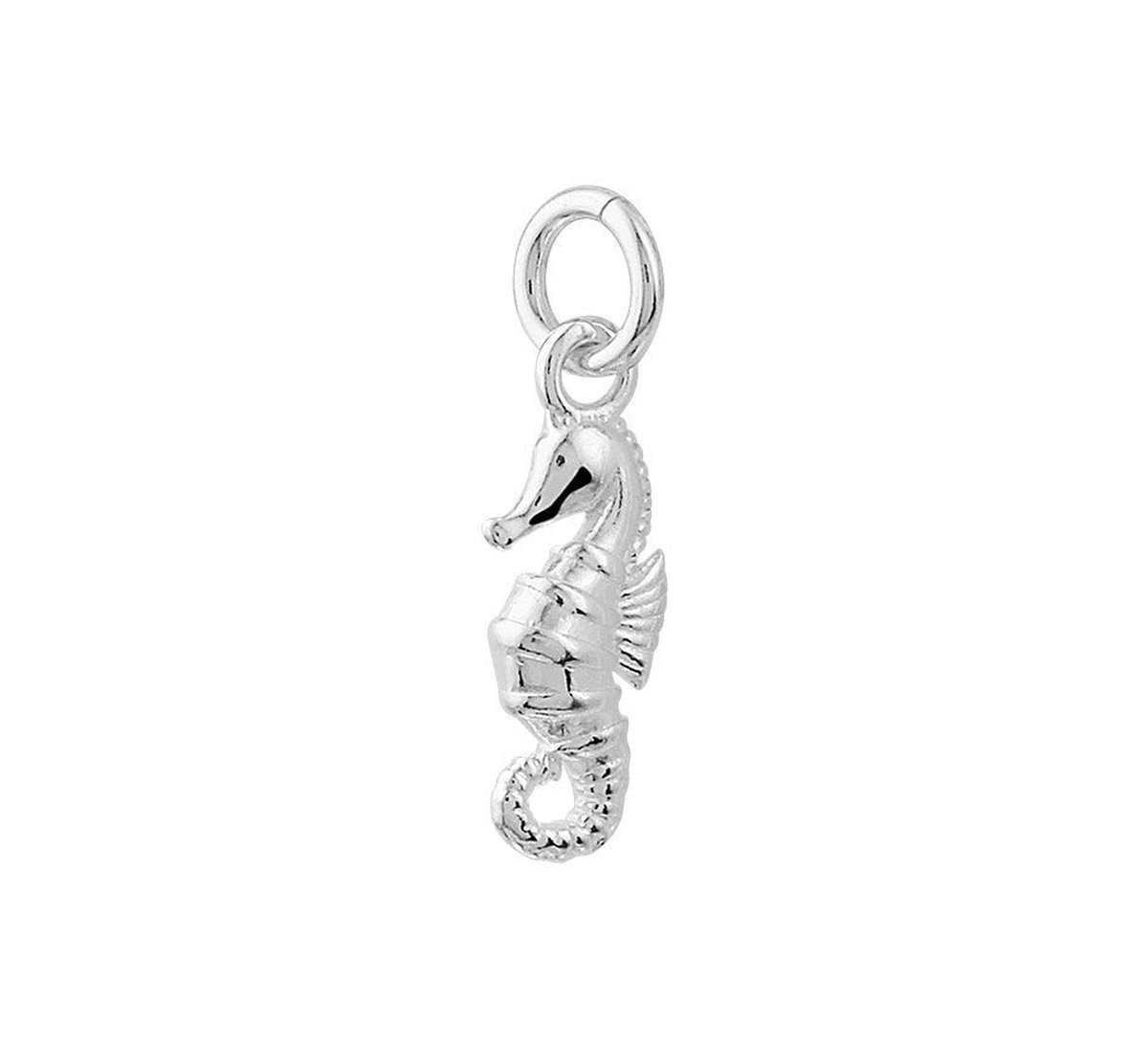 Zilveren Hanger zeepaard 1021701