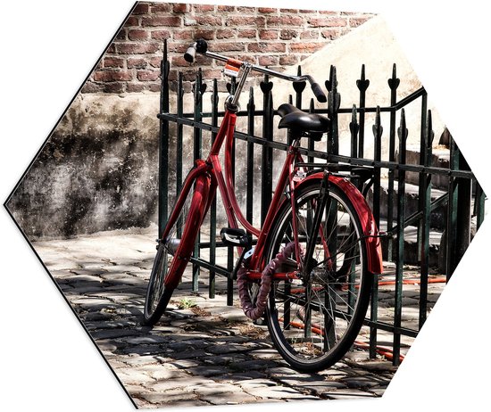 WallClassics - Dibond Hexagon - Rode fiets voor groen Hek - 80x69.6 cm Foto op Hexagon (Met Ophangsysteem)