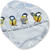 Organische Wanddecoratie - Kunststof Muurdecoratie- Organisch Schilderij - Vogel - Koolmees - Winter - Sneeuw - Takken- 90x90 cm - Organische spiegel vorm op kunststof