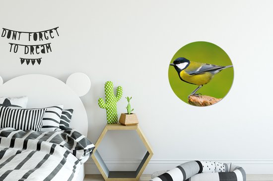 Cercle mural - Cercle mural - Vogel - Mésange charbonnière - Vert - Animaux - Plastique - Cercle mural intérieur - Tableaux ronds - 30x30 cm - Cercle mural oiseau - Décoration murale rond - Tableau rond