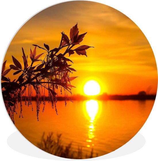 Cercle mural - Cercle mural - Soleil - Water - Branche - Feuilles - Tableau rond - Décoration murale ronde - Plastique - 60x60 cm - Cercle mural nature