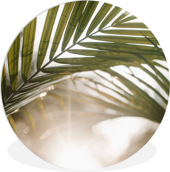 Een ronde muurdecoratie met een close-up van een groene palmblad met zonnestralen.