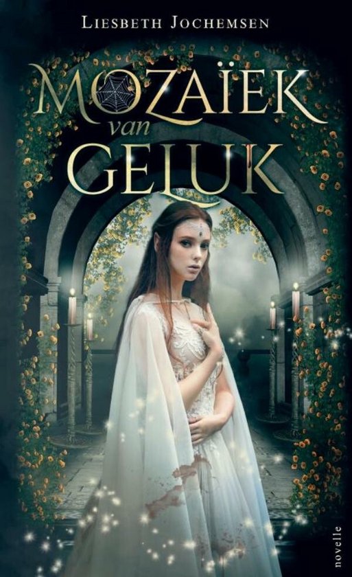 Mozaïek van Geluk - cover