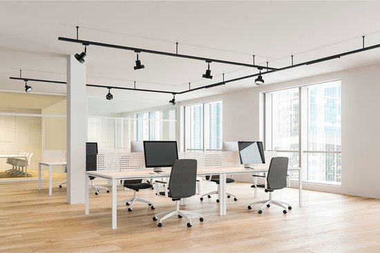 Isolateur de rail de tension - Trion Dual - Connecteur droit - 2 phases - Zwart mat