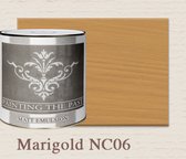 Painting the Past Matt Emulsions 2,5 liter blik Marigold (NC06)