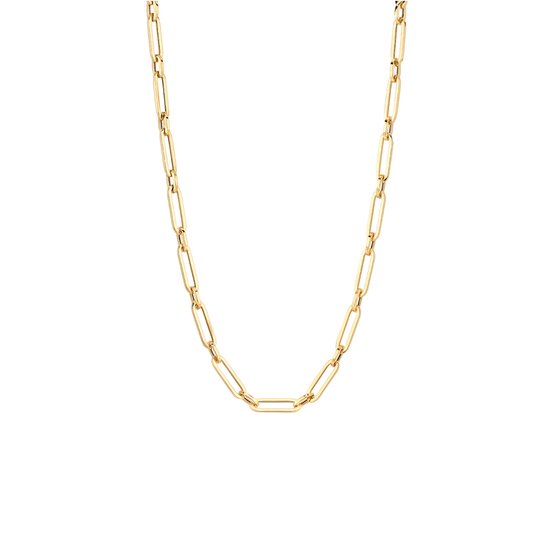 Blush Ketting Dames - Goud - 45 cm - Halsketting Dames Geen bewerking - Collier