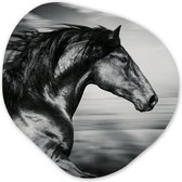 Organische Wanddecoratie - Kunststof Muurdecoratie- Organisch Schilderij - Paard - Dieren - zwart - Wit- 60x60 cm - Organische spiegel vorm op kunststof