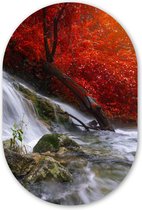 Mur Ovale - Décoration murale Plastique - Tableau Ovale - Cascade - Rochers - Water - Automne - 60x90 cm - Forme miroir ovale sur plastique
