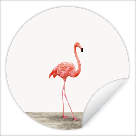 Behangsticker kind - Kinderkamer decoratie - Flamingo - Roze - Vogel - Meisjes - Jongens - Kind - 100x100 cm - Muurdecoratie jongenskamer - Muursticker kinderkamer