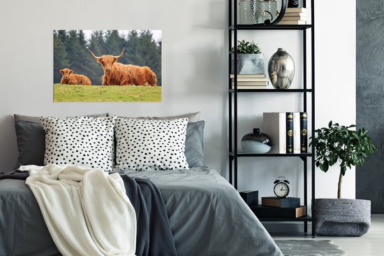 Une mère et son veau Poster Highlander écossais 60x40 cm - Tirage photo sur Poster (décoration murale salon / chambre) / Poster Animaux sauvages