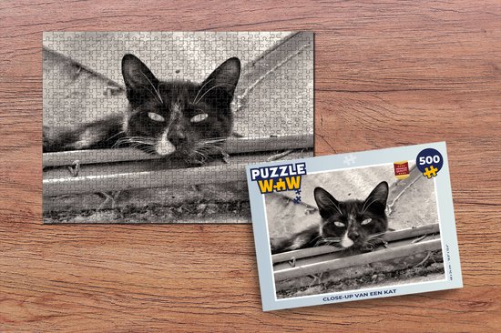 Puzzle Gros plan d'un chat - Puzzle - Puzzle 500 pièces