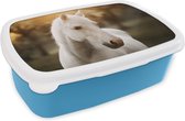 Broodtrommel Blauw - Lunchbox - Brooddoos - Paard - Zon - Herfst - Dieren - Natuur - 18x12x6 cm - Kinderen - Jongen