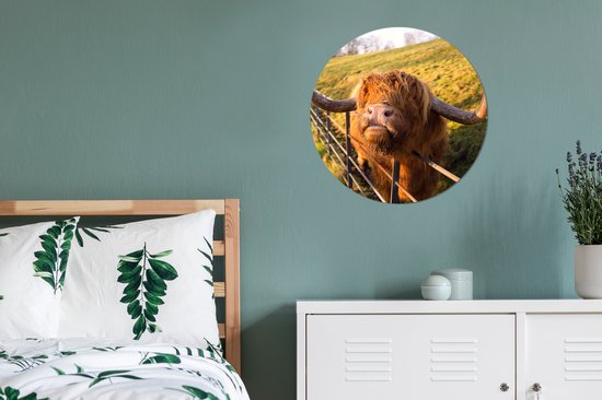 Wallpaper Circle - Highlander écossais - Clôture - Herbe - 50x50 cm - Wall Circle - Auto-adhésif - Sticker rond pour papier peint