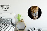 Behangcirkel - Zelfklevend behang - Luipaard - Zwart - Dieren - Wanddecoratie cirkel - Behangsticker - Behangcirkel zelfklevend - 50x50 cm - Muurdecoratie rond