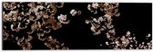 WallClassics - Dibond - Roze Bloesembloemetjes aan Tak in de Nacht - 60x20 cm Foto op Aluminium (Met Ophangsysteem)