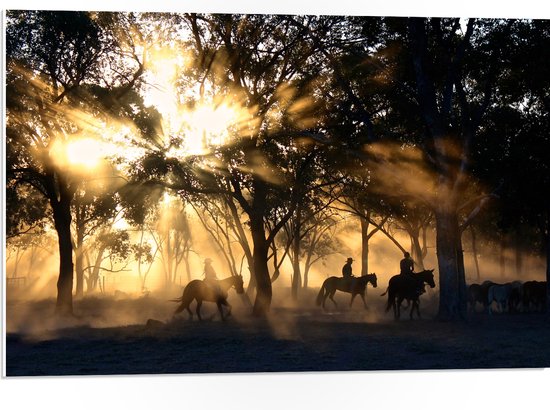 WallClassics - PVC Schuimplaat - Groepje Paarden in Bos verlicht door Zon - 75x50 cm Foto op PVC Schuimplaat (Met Ophangsysteem)