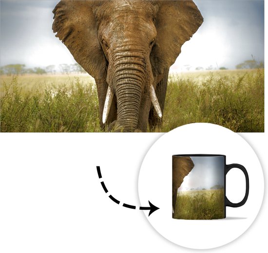 Mug Magique - Photo sur Mugs Chauffants - Mug à Café - Éléphant - Nature - Herbe - Animaux - Paysage - Mug Magic - Tasse - 350 ML - Mug à Thé