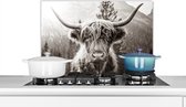 Spatscherm keuken 60x40 cm - Kookplaat achterwand Schotse hooglander - Koe - Dieren - Zwart - Wit - Muurbeschermer - Spatwand fornuis - Hoogwaardig aluminium