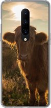 Geschikt voor OnePlus 7 Pro hoesje - Schotse Hooglander - Zonsondergang - Gras - Siliconen Telefoonhoesje