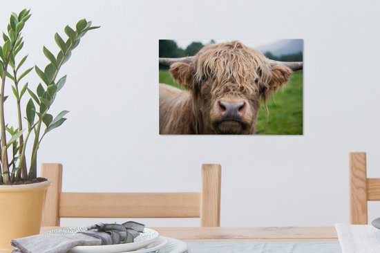 Toile Highlander écossais poilue 2cm