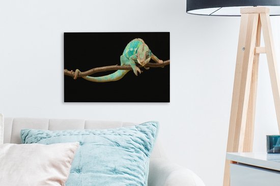 Studio shot caméléon sur toile branche 2cm 30x20 cm - petit - Tirage photo sur toile (Décoration murale salon / chambre) / animaux sauvages Peintures sur toile