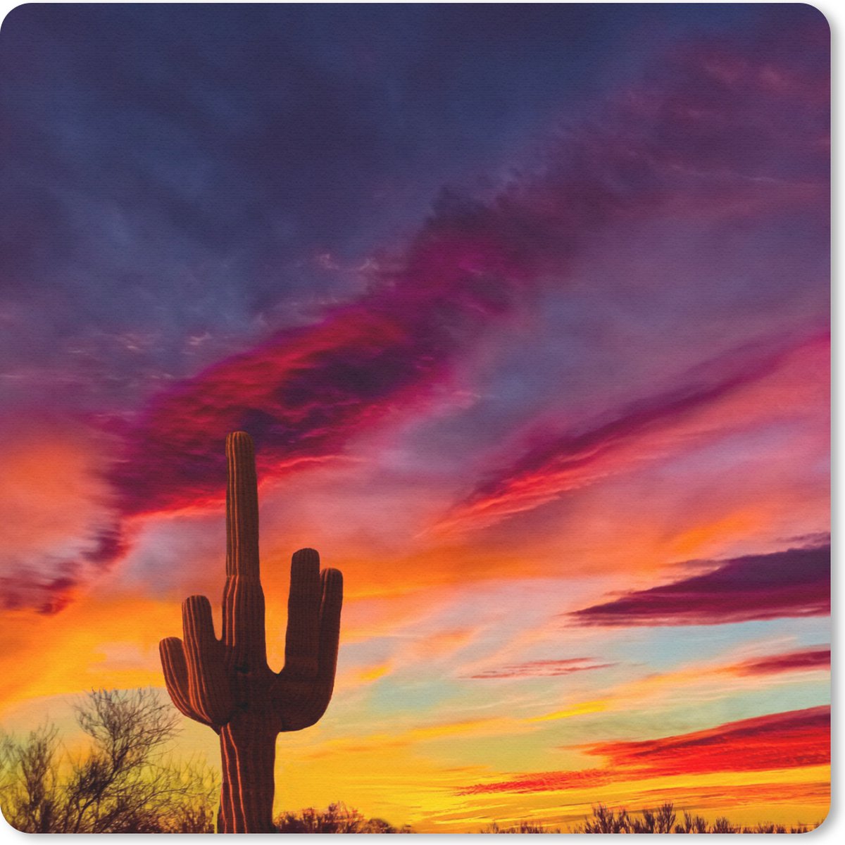 Muismat 30x30 cm - Mousepad Cactus - Lucht - Zonsondergang - Paars - Roze - Muismatten