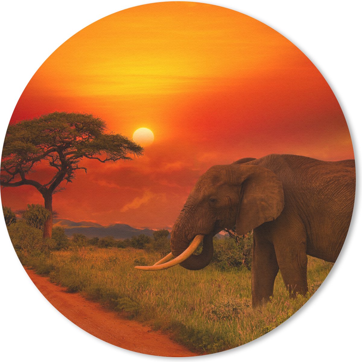 Muismat - Mousepad - Rond - Olifant - Zonsondergang - Oranje - Savanne - Dieren - 30x30 cm - Ronde muismat