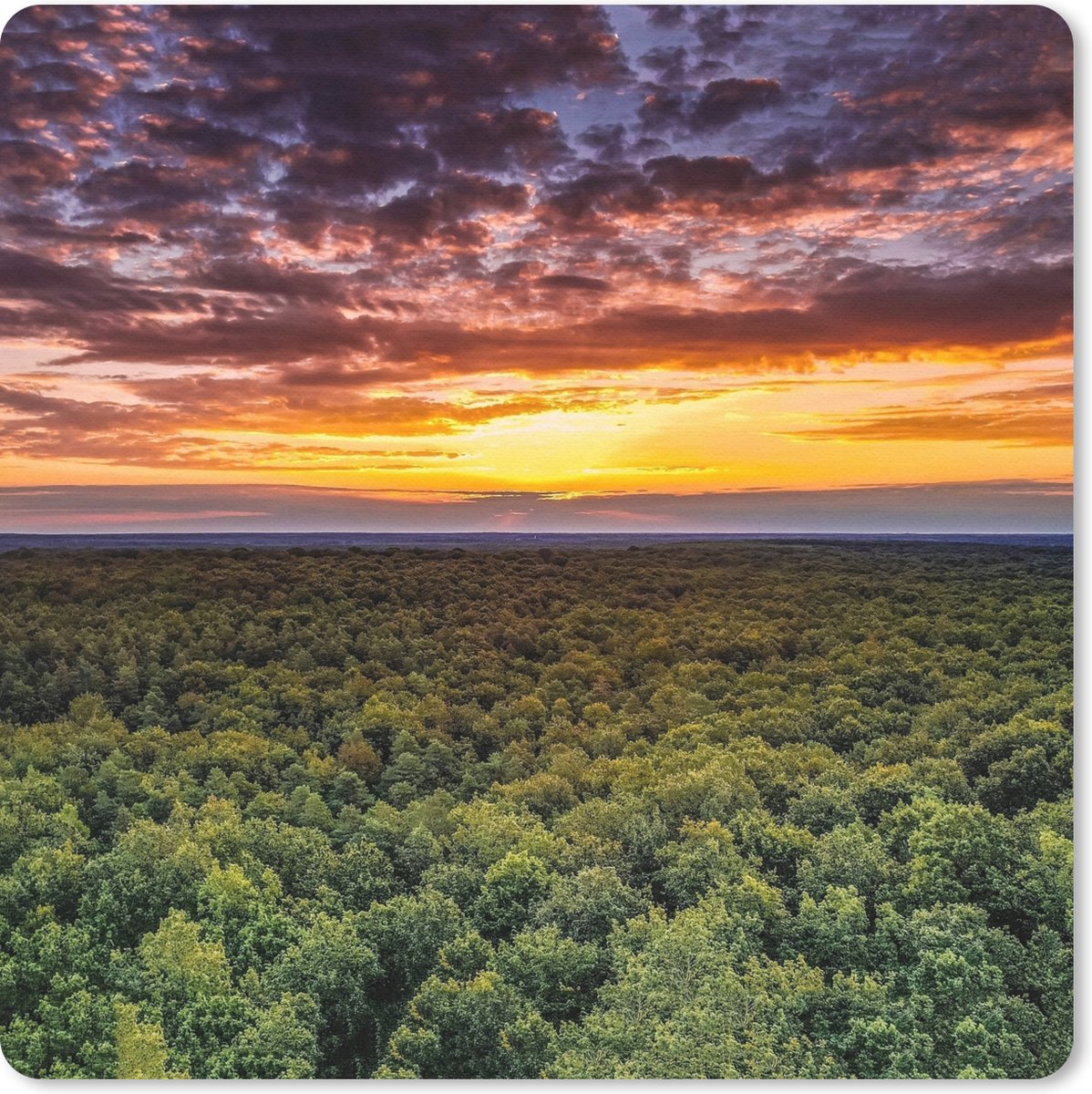 Muismat 30x30 cm - Mousepad Bos - Nacht - Lucht - Horizon - Bomen - Muismatten