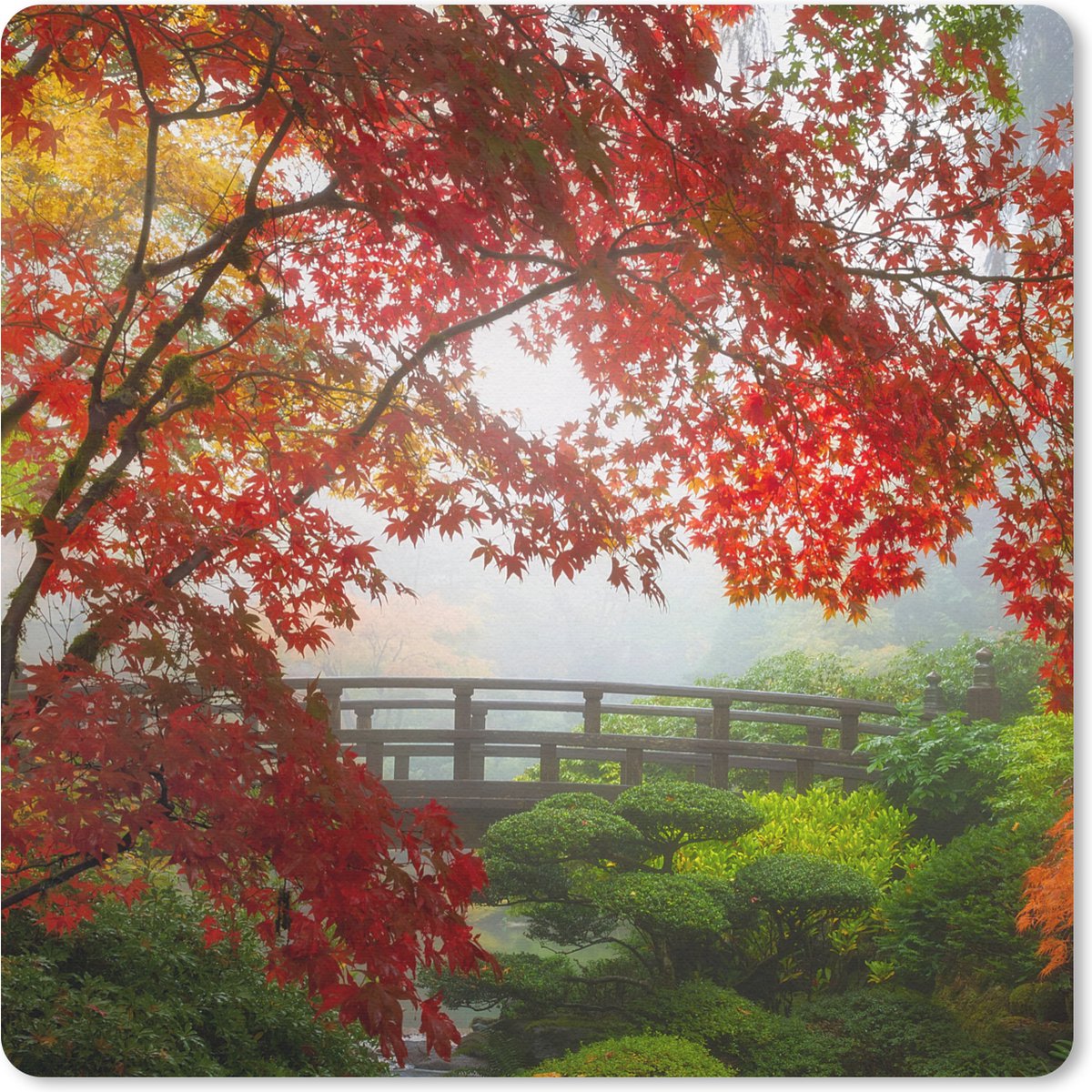 Muismat 30x30 cm - Mousepad Japanse esdoorn - Bomen - Brug - Natuur - Japans - Muismatten