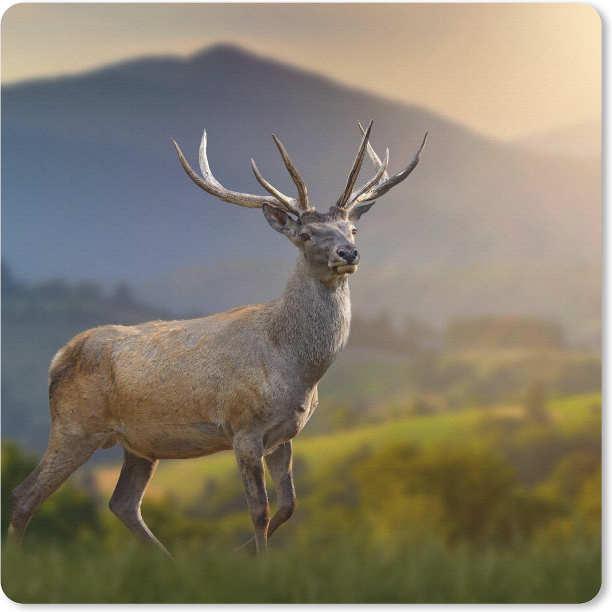 Muismat 20x20 cm - Mousepad Hert - Berg - Gras - Zonsondergang - Dieren - Natuur - Muismatten