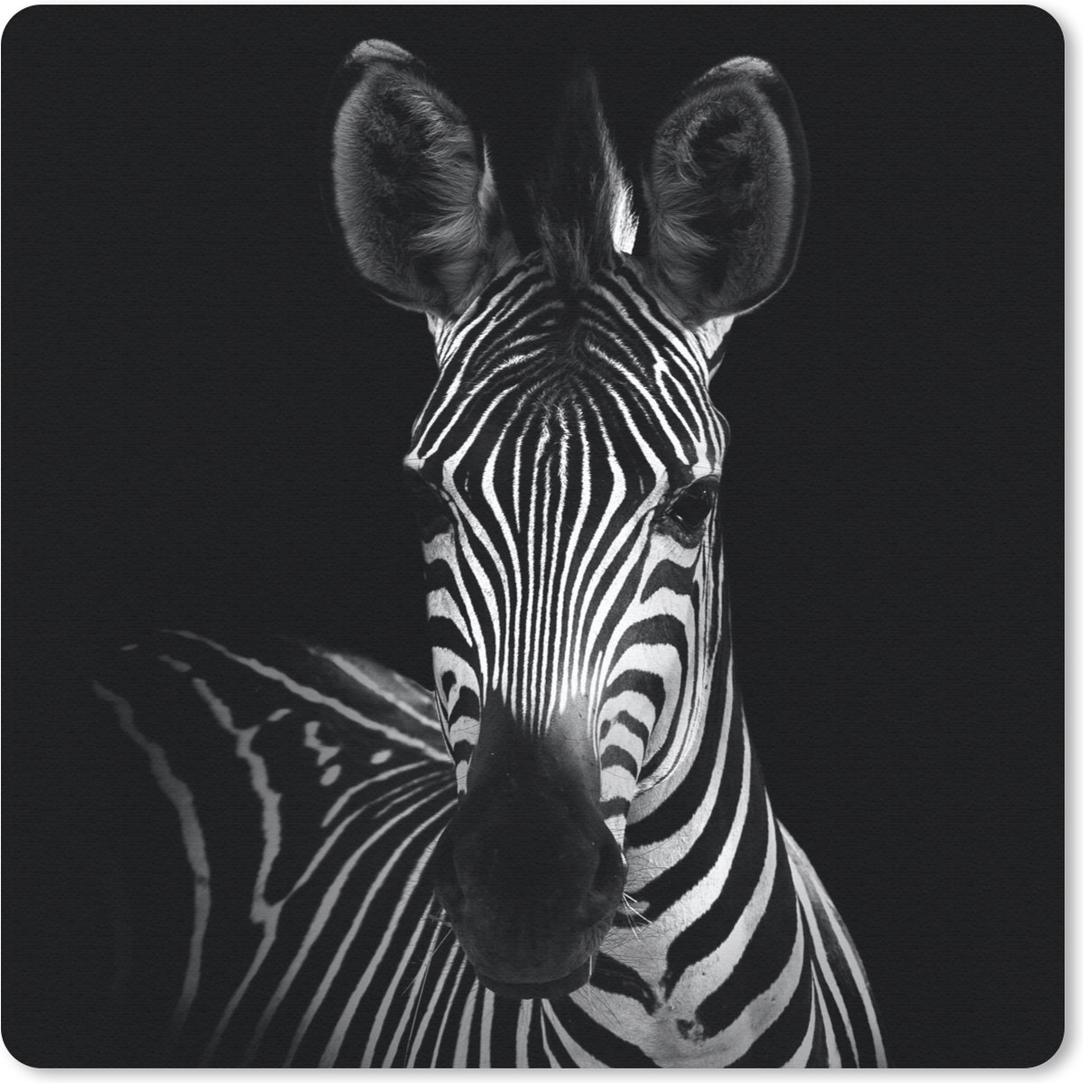 Muismat 30x30 cm - Mousepad Zebra - Zwart - Wit - Dieren - Muismatten