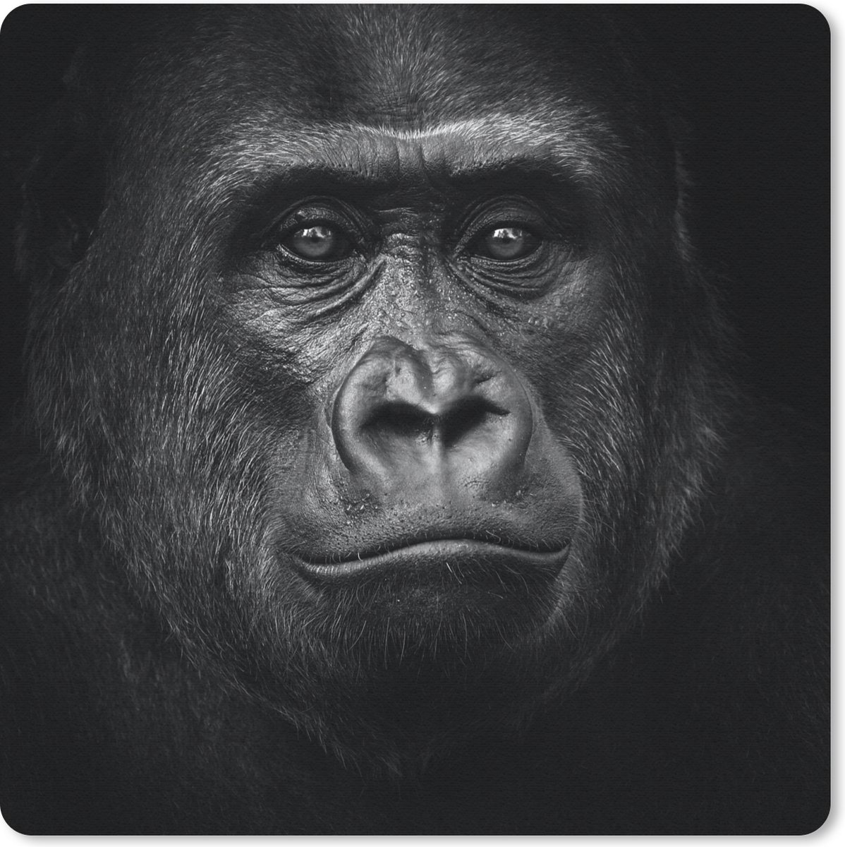 Muismat 30x30 cm - Mousepad Gorilla - Zwart - Wit - Dieren - Portret - Muismatten