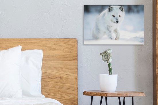 Arctic Fox traverse la neige 30x20 cm - petit - Tirage photo sur toile (Décoration murale salon / chambre) / animaux sauvages Peintures sur toile