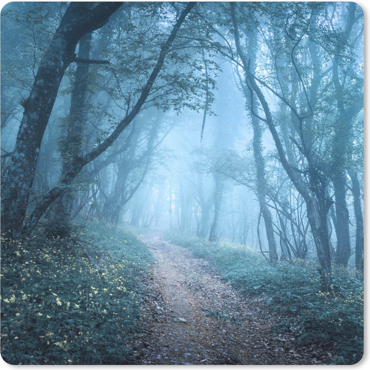 Muismat 30x30 cm - Mousepad Bomen - Natuur - Mist - Muismatten