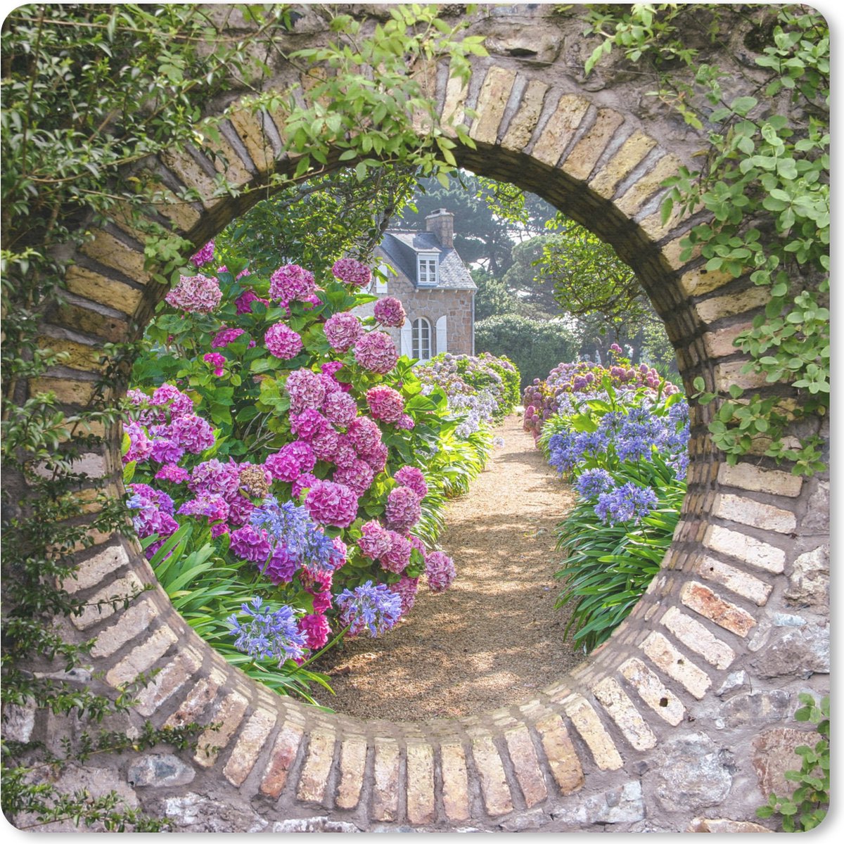 Muismat 20x20 cm - Mousepad Doorkijk - Bloemen - Hortensia - Zomer - Muismatten