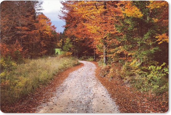 Muismat - Mousepad - Herfst - Herfstbladeren - Pad - Bos - 27x18 cm - Muismatten