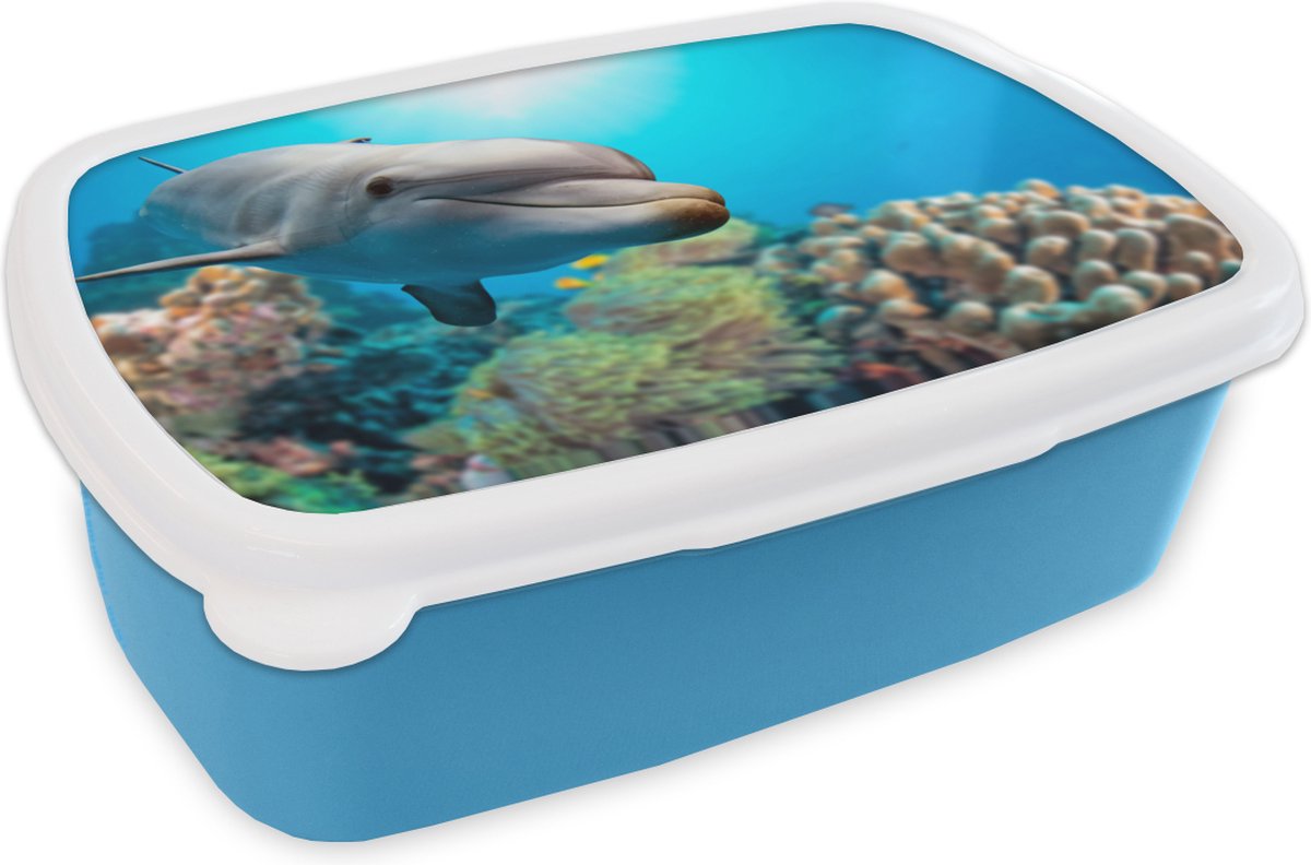 Broodtrommel Blauw - Lunchbox - Brooddoos - Dolfijn - Zee - Koraal - 18x12x6 cm - Kinderen - Jongen