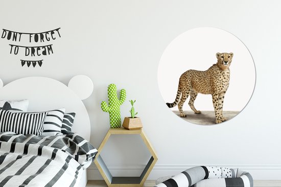 Cheetah Animal Print Nursery Wall Circle Assiette en plastique ⌀ 90 cm - impression photo sur cercle mural / cercle vivant (décoration murale)