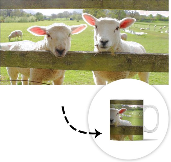 Mok - Koffiemok - Schapen - Dieren - Boerderij - Mokken - 350 ML - Beker - Koffiemokken - Theemok