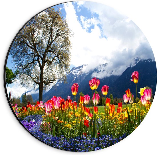 WallClassics - Dibond Muurcirkel - Felgekleurde Bloemen in het Veld met Berg en Boom - 20x20 cm Foto op Aluminium Muurcirkel (met ophangsysteem)