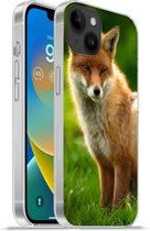 Geschikt voorApple Iphone 14 Plus - Soft case hoesje - Vos - Licht - Gras - Siliconen Telefoonhoesje