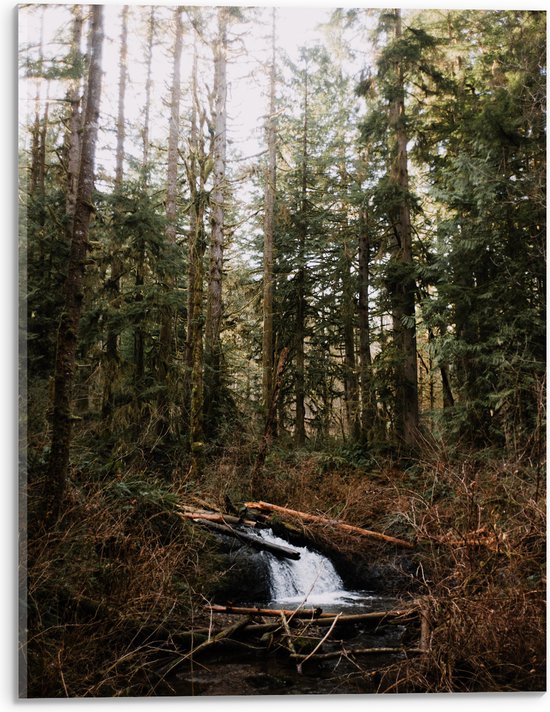 WallClassics - Acrylglas - Kleine Natuur Waterval in het Bos - 30x40 cm Foto op Acrylglas (Wanddecoratie op Acrylaat)