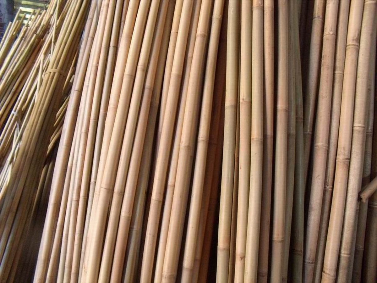 Bol.com Intergard Bamboestokken bamboepaal tonkin tonkinstokken 180cm 60/70mm per 4 stuks aanbieding