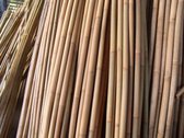 Intergard Bamboestokken bamboepaal tonkin tonkinstokken 180cm ø60/70mm per 4 stuks