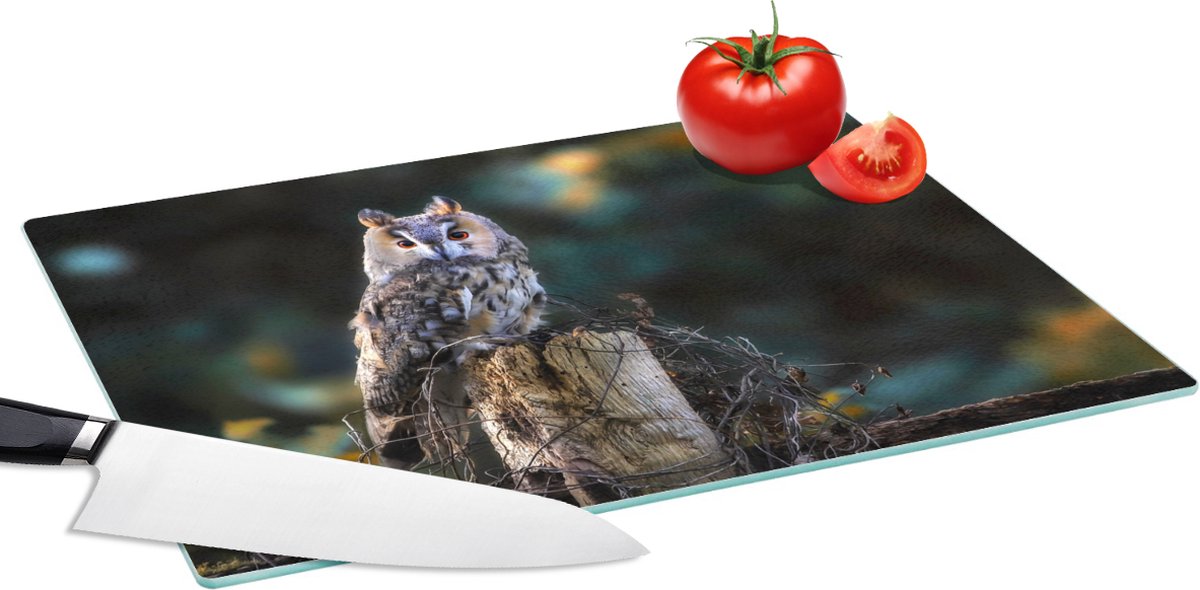 Glazen Snijplank - 39x28 - Uil - Herfst - Vogel - Takken - Snijplanken Glas