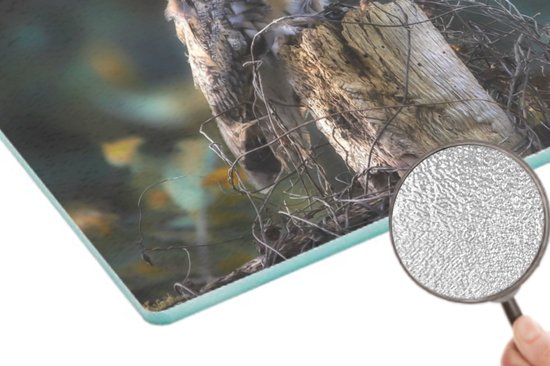 Planche à découper en Verres - 39x28 - Hibou - Automne - Vogel - Branches - Planches à découper en Glas