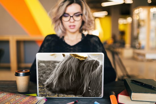 Sticker ordinateur portable - 11,6 pouces - Scottish Highlander - Vache - Or