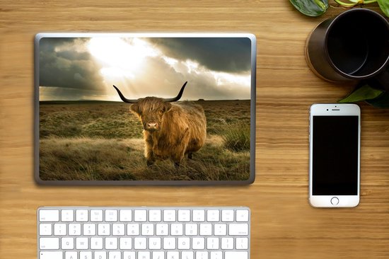 Autocollant pour ordinateur portable - 10,1 pouces - Highlander écossais - Soleil - Animaux - 25x18cm - Autocollants pour ordinateur portable - Peau pour ordinateur portable - Couverture